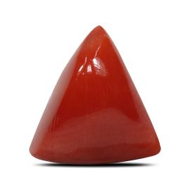 Red Coral (Moonga) - 5.56 Carat 