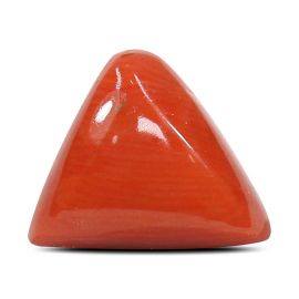 Red Coral (Moonga) - 5.15 Carat 