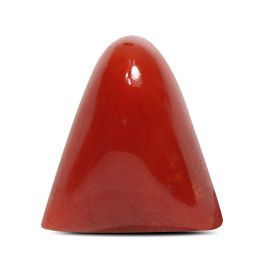 Red Coral (Moonga) - 8.29 Carat 