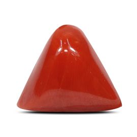 Red Coral (Moonga) - 7.67 Carat 