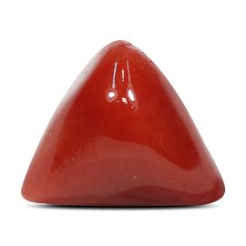 Red Coral (Moonga) - 7.68 Carat 