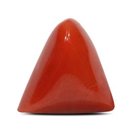 Red Coral (Moonga) - 6.47 Carat 