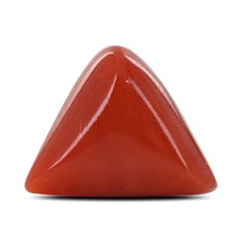 Red Coral (Moonga) - 6.36 Carat 