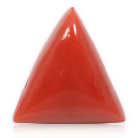 Red Coral (Moonga) - 5.77 Carat 