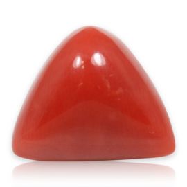 Red Coral (Moonga) - 8.54 Carat 