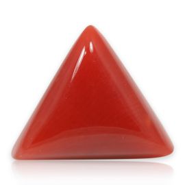 Red Coral (Moonga) - 5.57 Carat 