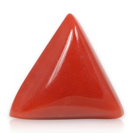 Red Coral (Moonga) - 5.88 Carat 