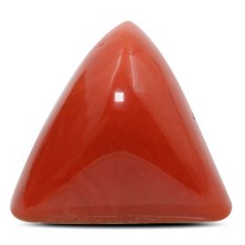 Red Coral (Moonga) - 28.62 Carat 