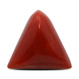 Red Coral (Moonga) - 14 Carat 