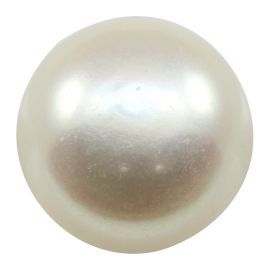 Fresh Water Pearl (Moti) Cts 7.39 Ratti 8.13