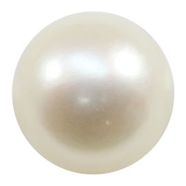 Fresh Water Pearl (Moti) Cts 11.52 Ratti 12.67