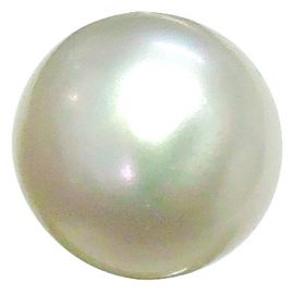 Natural Fresh Water Pearl (Moti) Cts. 7.49 Ratti 8.23