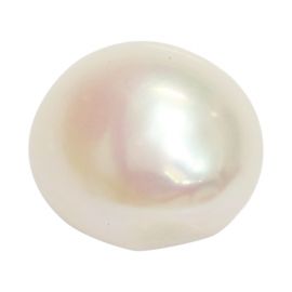 Fresh Water (K.C.) Keshi Pearl (Moti) Cts 6.96 Ratti 7.66