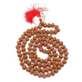 8 Mukhi Rudraksha Mala (Indonesia) (108+1 Beads) GJSPC Certified