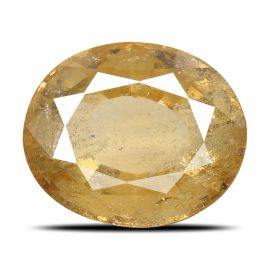 Hessonite (Gomed) - 9.55 Carat 