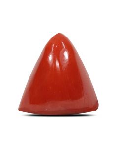 Red Coral (Moonga) - 8.43 Carat 