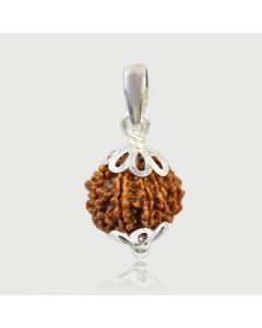 Natural 10 Mukhi (Ten Mukhi) Rudraksha Nepal Silver Pendant GJSPC Certified