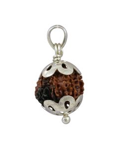 Rudraksha (10 Mukhi) Ten Mukhi Sterling Silver Pendant  18.19 M.M.