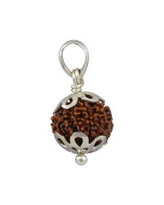 Natural Rudraksha 11 Mukhi Eleven Mukhi  Sterling Silver Pendant  18.58 M.M.