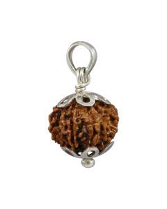 Natural Rudraksha 11 Mukhi Eleven Mukhi  Sterling Silver Pendant  17.74 M.M.