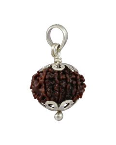 Natural Rudraksha 12 Mukhi Twelve Mukhi  Sterling Silver Pendant  19.55 M.M.