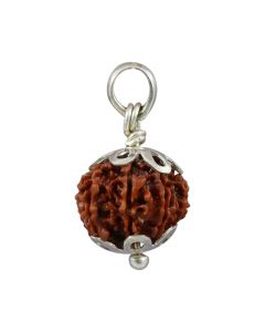 Natural Rudraksha 12 Mukhi Twelve Mukhi  Sterling Silver Pendant  18.6 M.M.