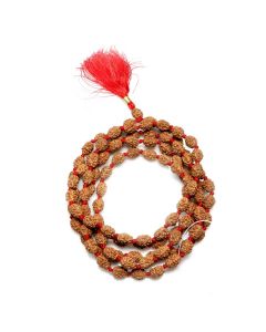 4 Mukhi Rudraksha Mala (Indonesia) (108+1 Beads) GJSPC Certified