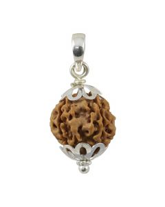 4 Mukhi Nepali Rudraksha Sterling Silver Pendant GJSPC Certified 