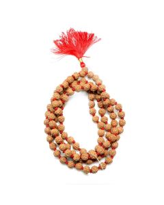 5 Mukhi Rudraksha Mala (Indonesia) (108+1 Beads) GJSPC Certified