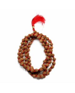 6 Mukhi Rudraksha Mala (Indonesia) (108+1 Beads) GJSPC Certified