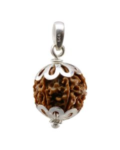 Natural 6 Mukhi Nepali (Six Mukhi) Rudraksha Pendant in Sterling Silver 92.50