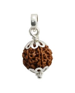 7  Mukhi(Sevan Mukhi) Rudraksha Certified With Sterling Silver (92.50) Pendant