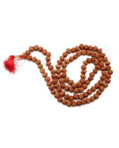 9 Mukhi Rudraksha Mala (Indonesia) (108+1 Beads) GJSPC Certified