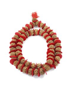 5 Mukhi Rudraksha Kantha Nepal (Jaap Mala) 54+1 Beads