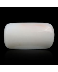 Natural White Coral (Safed Munga) Cts 10.28 Ratti 11.31