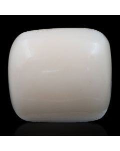 Natural White Coral (Safed Munga) Cts 12.98 Ratti 14.28