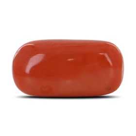 Red Coral (Moonga) - 12.68 Carat 