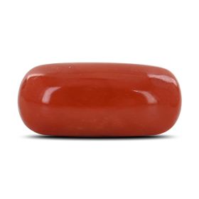 Red Coral (Moonga) - 8.9 Carat 