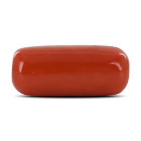 Red Coral (Moonga) - 8.62 Carat 