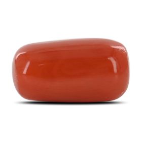 Red Coral (Moonga) - 9.72 Carat 