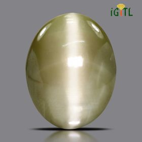 Chrysoberyl Cat`s Eye - 27.89 Carat 