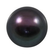 Black Fresh Water Pearl (Moti) Cts 7.52 Ratti 8.27