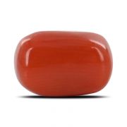 Natural Red Coral (Moonga) Capsule Cts 3.02 Ratti 3.31
