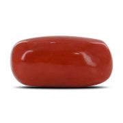 Natural Red Coral (Moonga) Capsule Cts 10.32 Ratti 11.34