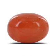 Natural Red Coral (Moonga) Oval Cts 24.32 Ratti 26.74