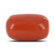 Natural Red Coral (Moonga) Oval Cts 8.6 Ratti 9.45