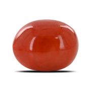 Natural Red Coral (Moonga) Oval Cts 8.08 Ratti 8.88