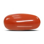 Natural Red Coral (Munga) Oval Cts 6.61 Ratti 7.27
