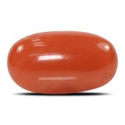 Natural Red Coral (Munga) Oval Cts 6.96 Ratti 7.66