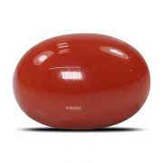 Natural Red Coral (Munga) Oval Cts 5.88 Ratti 6.47